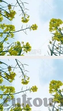 欧洲足球赛比分-欧洲足球赛比分，绿茵场上的数字交响曲